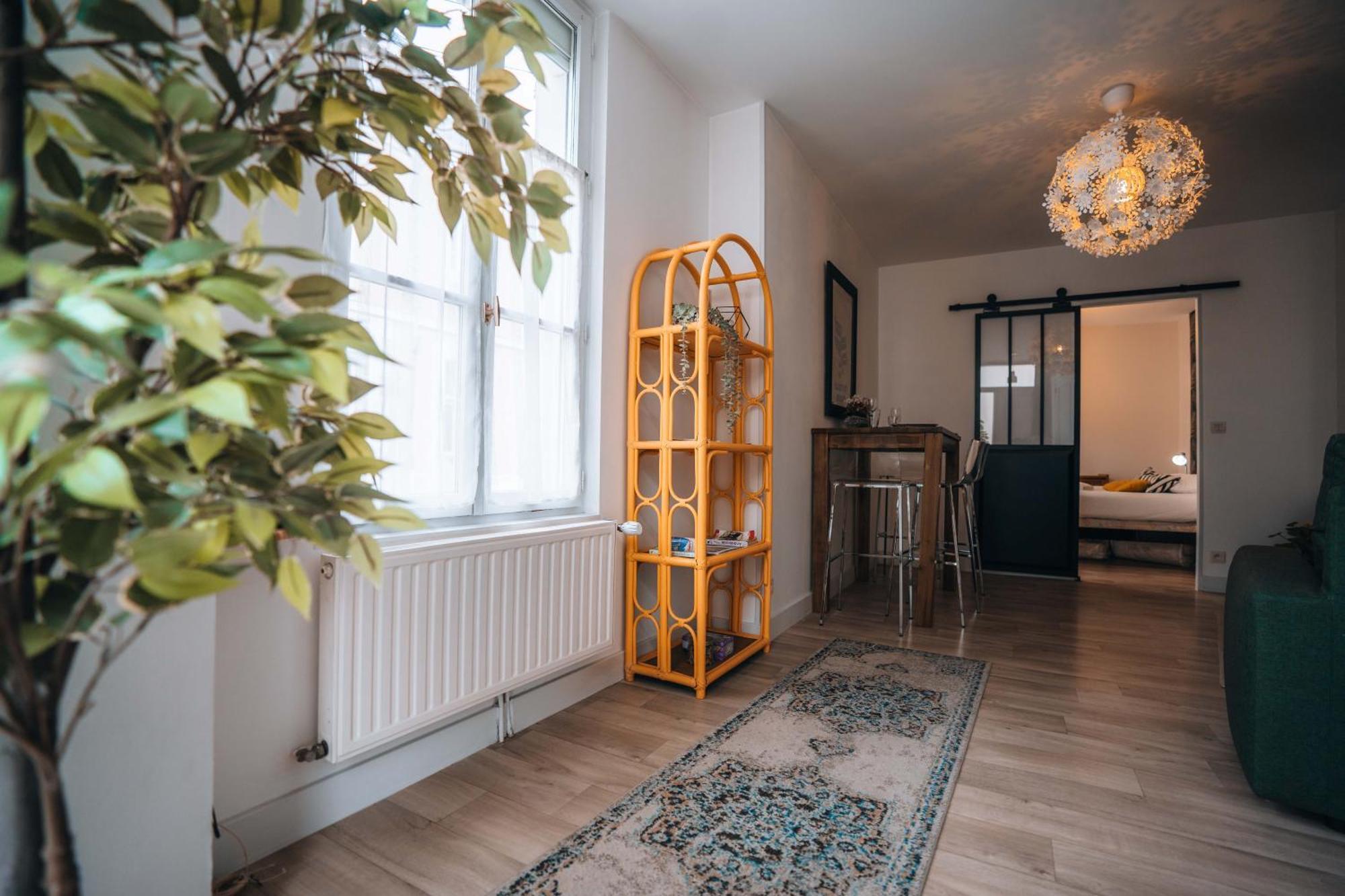 Les Petits Roys - Proche Centre Ville - Cosy Châteauroux Dış mekan fotoğraf